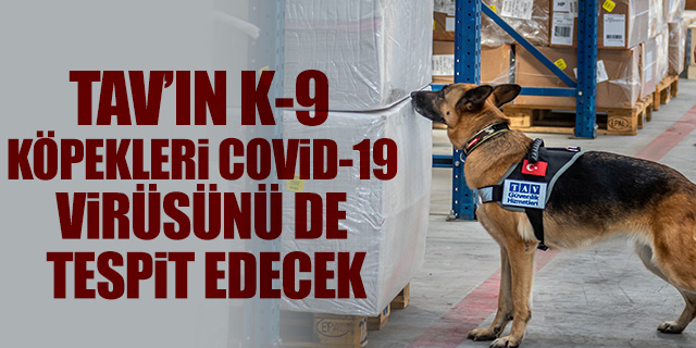 TAV'ın K-9 köpekleri Covid-19 virüsünü de tespit edecek