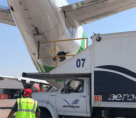 Meksika'da ikram kamyonu yolcu uçağına çarptı