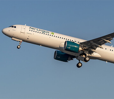 Aer Lingus uçağında kaçak yolcu alarmı!