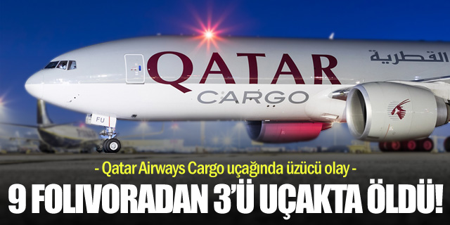 Qatar Airways uçağında taşınan hayvanlar öldü!