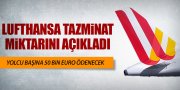 YOLCU BAŞINA 50 BİN EURO TAZMİNAT