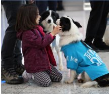 İGA 'Terapi Köpek Pojesi'ni Hayata Geçirdi