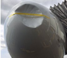 American Airlines uçağına kuş çarptı