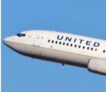 United Airlines'tan bir skandal daha: Yolcuyu akrep soktu