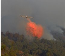 Orman yangınına 20 helikopter 14 uçak ile müdahale
